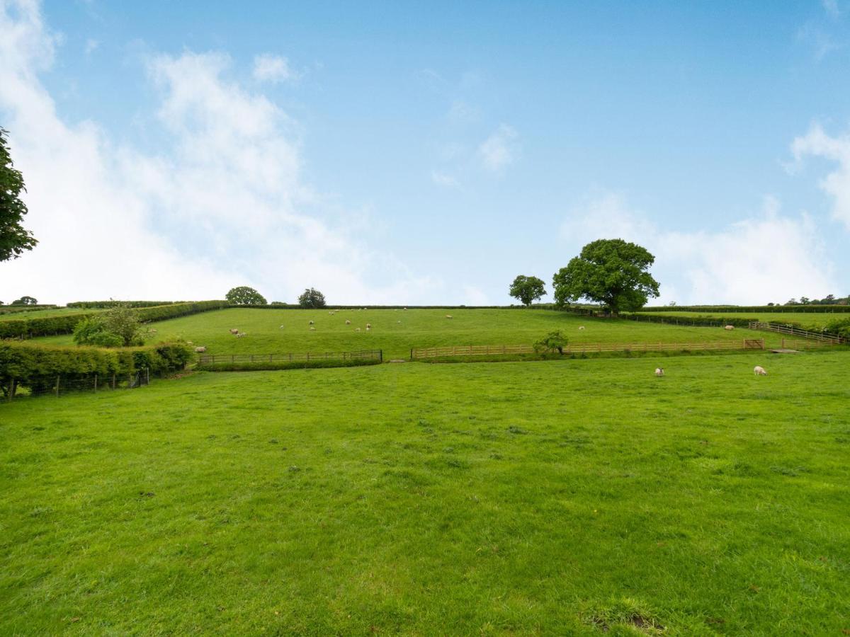 Brook Cottage Stearsby المظهر الخارجي الصورة